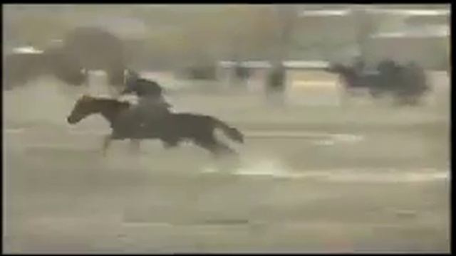 национальный спорт кокпар