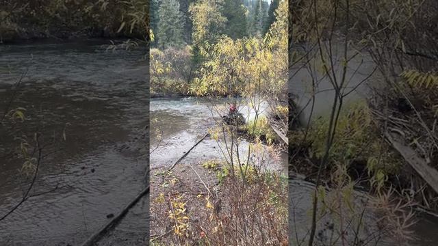 Linhai m150 m200 смотреть онлайн