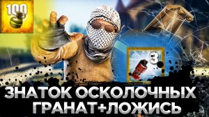 КАК ПОЛУЧИТЬ ДОСТИЖЕНИЕ ЗНАТОК ОСКОЛОЧНЫХ ГРАНАТ И ЛОЖИСЬ В CS:GO?