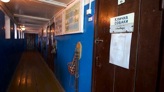 Охрана моста смотреть онлайн