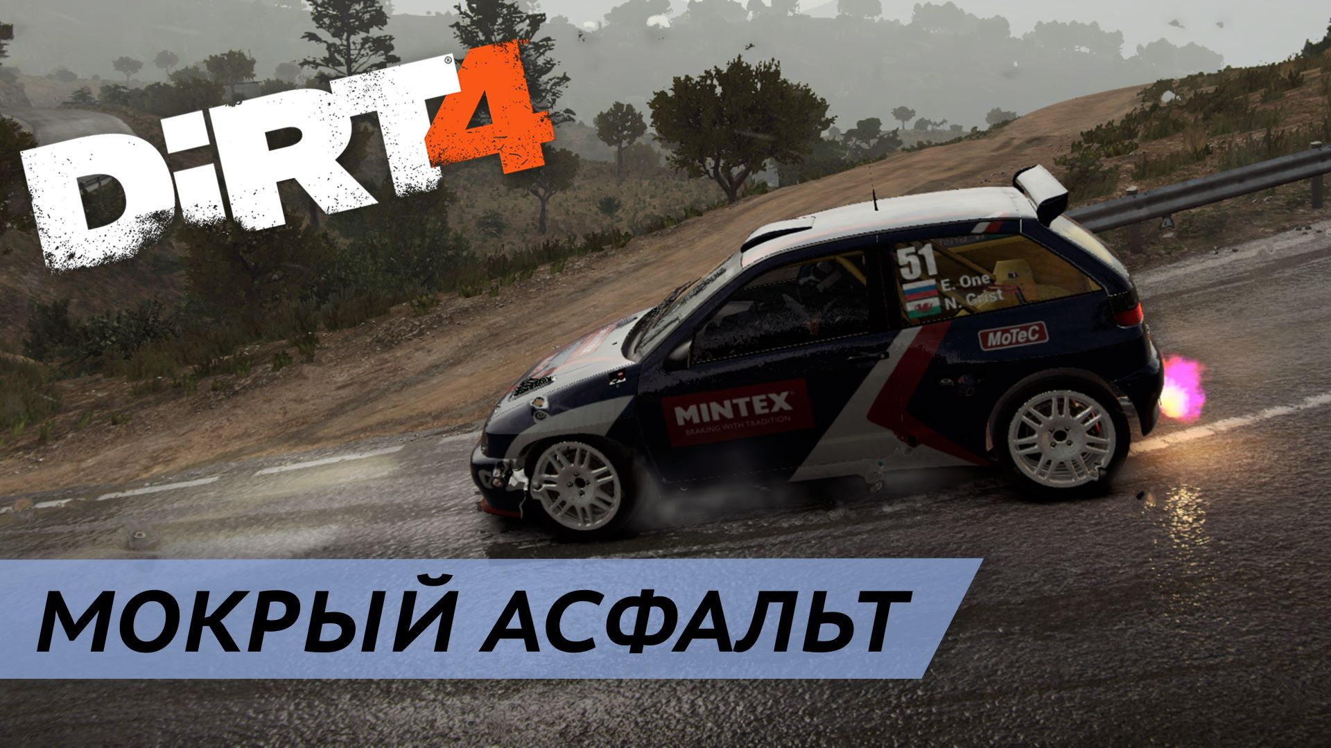 Dirt 4 цена стим фото 65