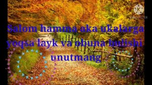 tuy bob terma mp3 туй боб терма