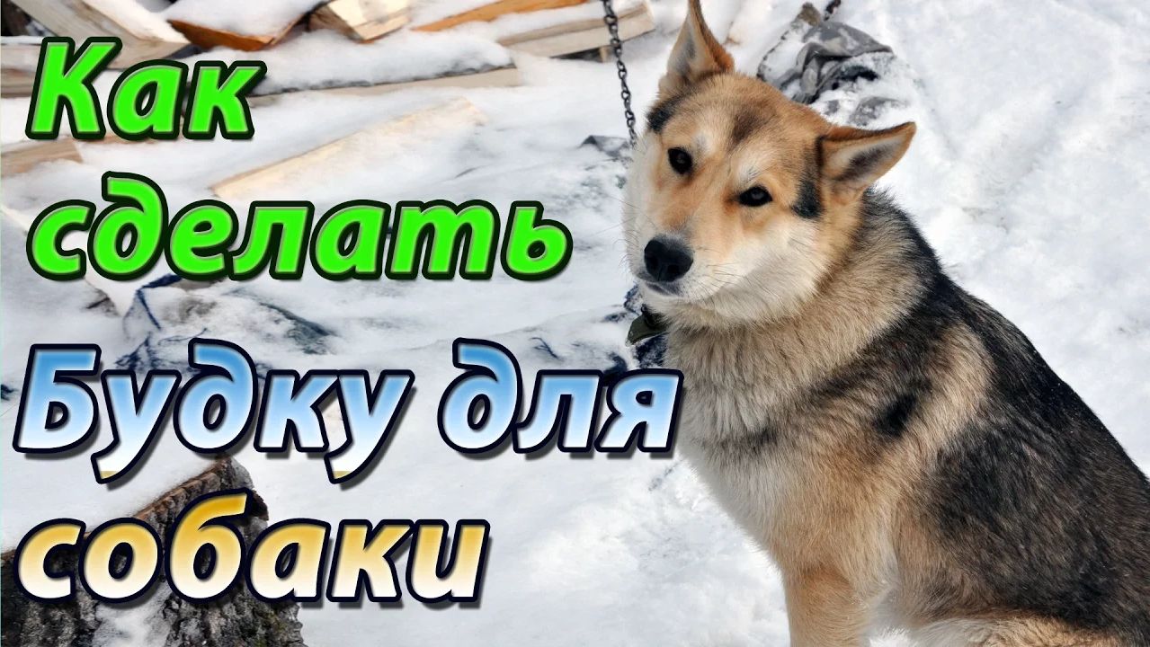 Тёплая будка для собаки своими руками. Доступное жильё для молодого пса ! смотреть онлайн