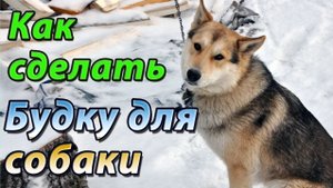 Тёплая будка для собаки своими руками. Доступное жильё для молодого пса !