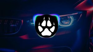 САМЫЕ МОЩНЫЕ БАСЫ В МИРЕ!!!