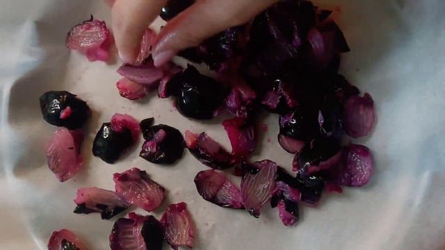 JAVA PLUM SORBET without machine | JAMUN ICE CREAM | NO Sugar | NO Diary | Vegan | The Smoothies Ba