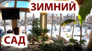 Зимний сад морозным днем февраля - оранжерея у дома