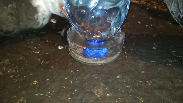 Самодельная поилка для кур, уток и других птиц из пятилитровых пластиковых бутылок смотреть онлайн