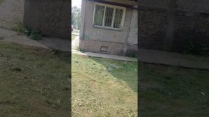 Страшные звуки погоня😦