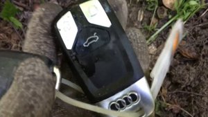 СХРОН. КЛЮЧИ ОТ МАШИН