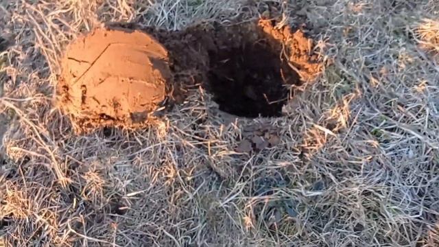 КОП В ПОЛЯХ НОВЫЙ УРОВЕНЬ.