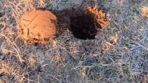 КОП В ПОЛЯХ НОВЫЙ УРОВЕНЬ.