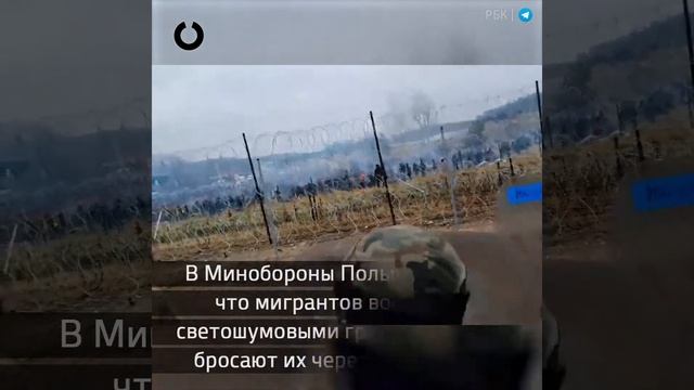 Адские столкновения мигрантов и польских пограничников на польско-белорусской границе смотреть онлайн