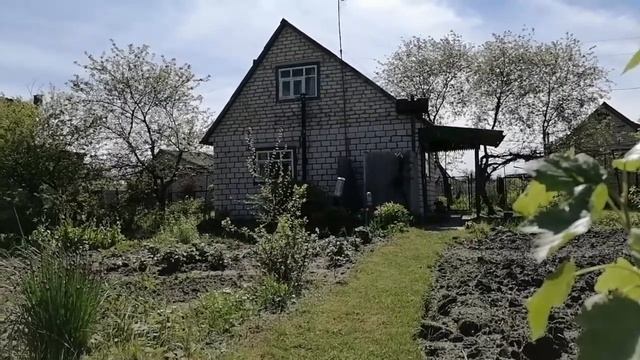 Арбузы 2021г Мои три ошибки при выращивании рассады арбузов. смотреть онлайн