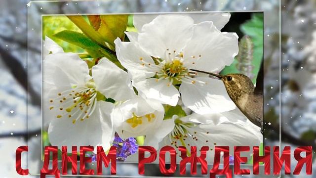 День рождения в МАЕ Happy Birthday Красивое поздравление с днем рождения Музыкальная видео открытка