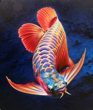 Рыба-дракон Аравана