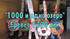 1200 км-2 день 13-06-2014