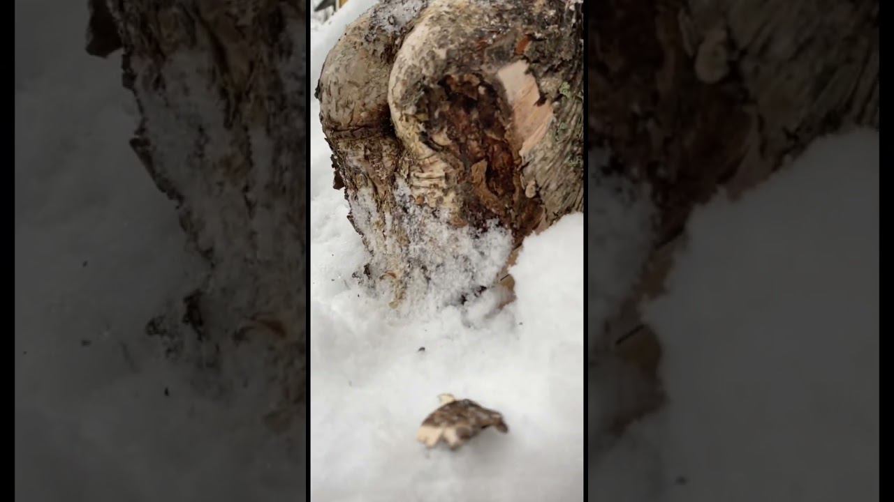 Красота Русской Природы смотреть онлайн