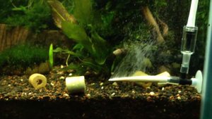 CO2 диффузор из веточки рябины, тонкая длинная ветка