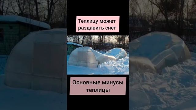 Нужна ли вам теплица? Плюсы и минусы  #дача #садовая #теплица