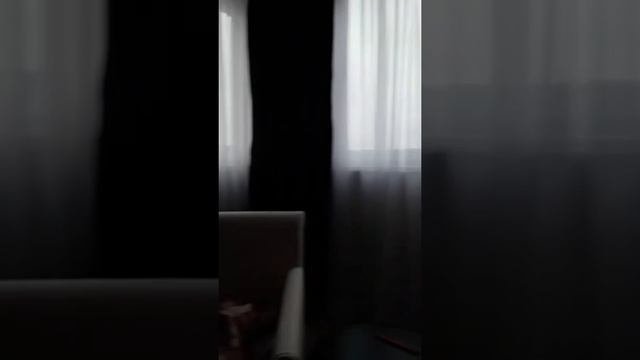 Показала квартиру в гродно