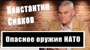 Кратко и по делу. Константин Сивков об оружии НАТО на Украине