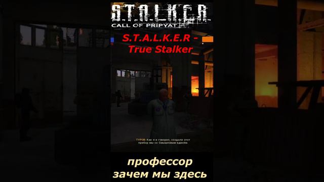 #shorts #S.T.A.L.K.E.R #НАРЕЗКА # ПРИКОЛ # профессор зачем мы здесь