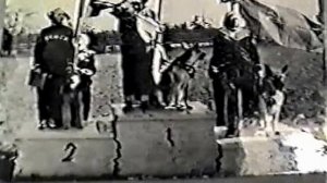 80 лет Служебному собаководству