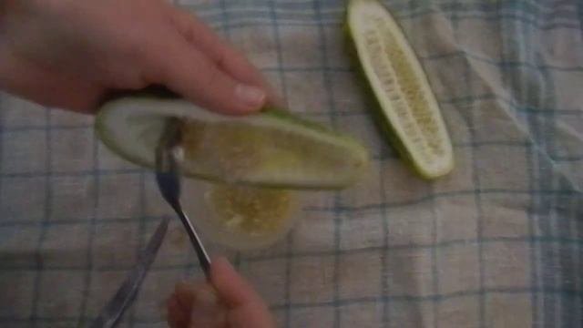 Как собрать семена огурца