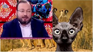Кот Костян Реформы либеродрилов