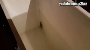 ТЕРМОРЕГУЛЯТОР DS18B20 Arduino