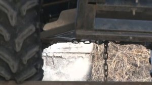 Квадрик Погрузчик