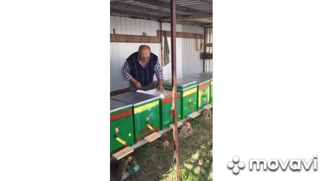 Мёд с ветеринарно-санитарным паспортом пасеки. смотреть онлайн