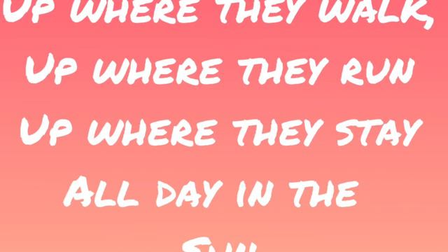 Part of your world (Jodi Benson) disney Danlyrics