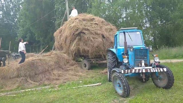 Живу в деревне//Сенокос начали//Огурцы гиганты. смотреть онлайн