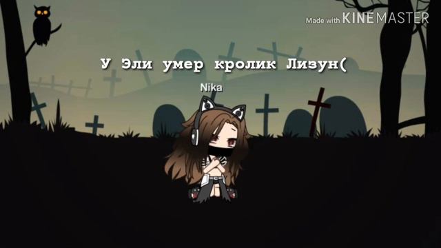Прощай кролик Лизун