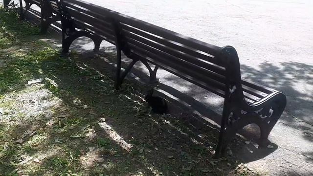 ?МНОГО АТТРАКЦИОНОВ!?ЛУЧШИЙ ПАРК РАЗВЛЕЧЕНИЙ В УЛЬЯНОВСКЕ!✔ПАРК ПОБЕДЫ смотреть онлайн