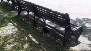 ?МНОГО АТТРАКЦИОНОВ!?ЛУЧШИЙ ПАРК РАЗВЛЕЧЕНИЙ В УЛЬЯНОВСКЕ!✔ПАРК ПОБЕДЫ