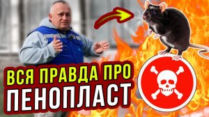 УТЕПЛЕНИЕ ДОМА ПЕНОПЛАСТОМ: вред, пожар, мыши? ОТВЕТЫ НА ВОПРОСЫ. Часть 21