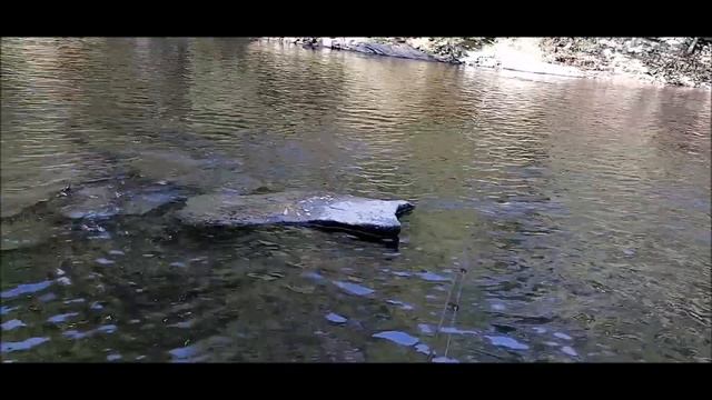 Осенняя кунджа 2022 10 Сентября смотреть онлайн