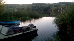 Казань остров дача