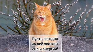 Чумачечая весна пришла!