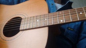 Cremona Strunal D 973s vs Furch D 42