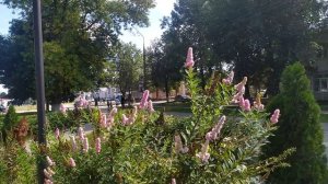 Жуковка. Город партизанской славы.