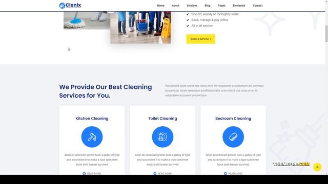 Clenix - Cleaning Services WordPress Theme house cleaning Cleaning Business Website Builder