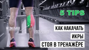 Как накачать икры стоя в тренажёре / 5 Tips