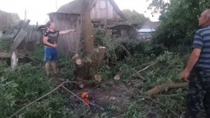 КАК СПИЛИТЬ ОГРОМНОЕ ДЕРЕВО СВОИМИ РУКАМИ*ПОЛЕЗНЫЕ СОВЕТЫ*