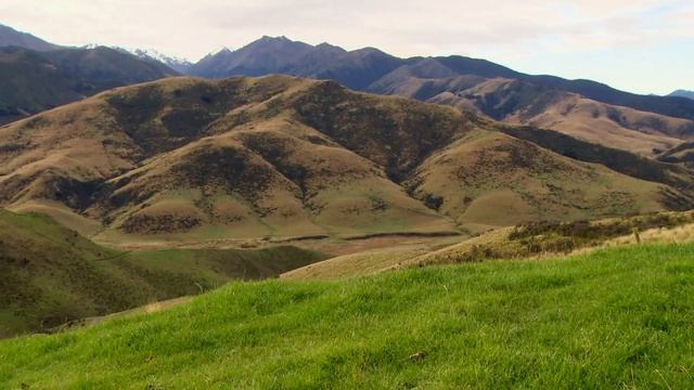 Grass Fed Marbled Angus Beef at Mt Linton смотреть онлайн