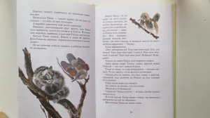 Читаем вслух. Е. Чарушин "Почему Тюпа не ловит птиц" Путилковская сельская библиотека