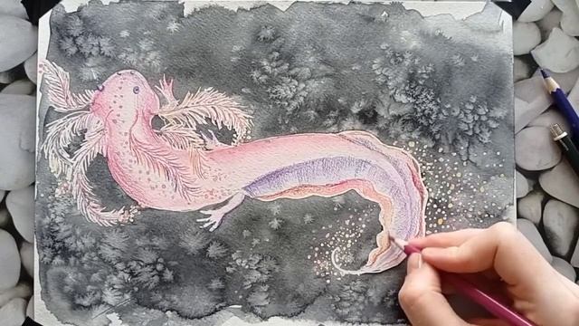 Аксолотль. Акварель. Рисование.